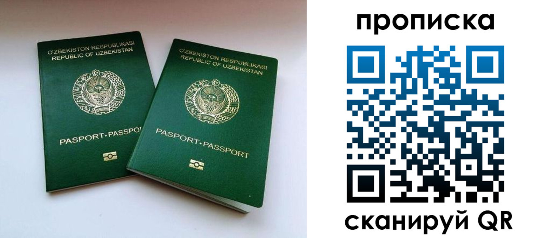 прописка поиск в Соколе